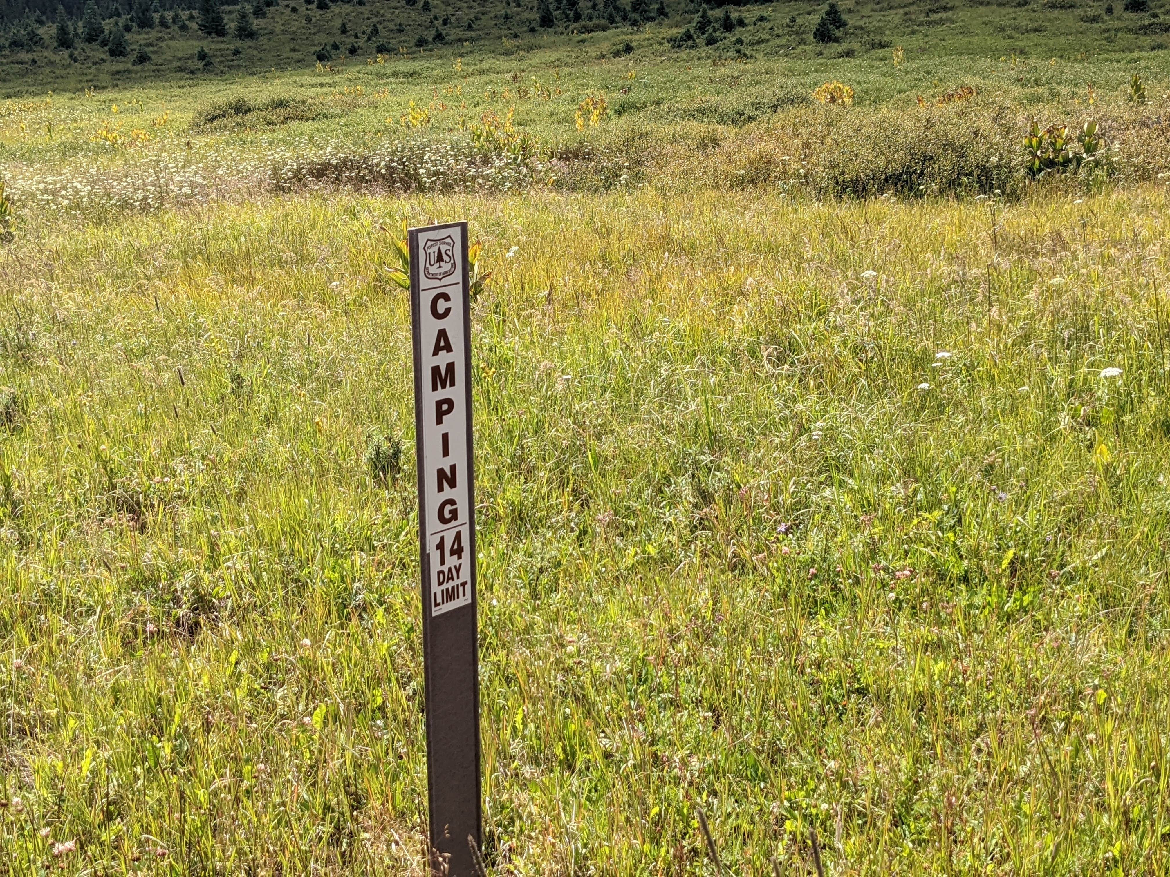 Camper submitted image from Cross Mtn - East Fork Dispersed Camping - 2