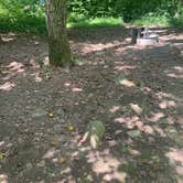 Review photo of French Creek State Park Campground by Amanda K., August 14, 2022