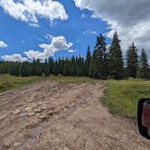 Review photo of Cross Mtn - East Fork Dispersed Camping by Greg L., August 13, 2022