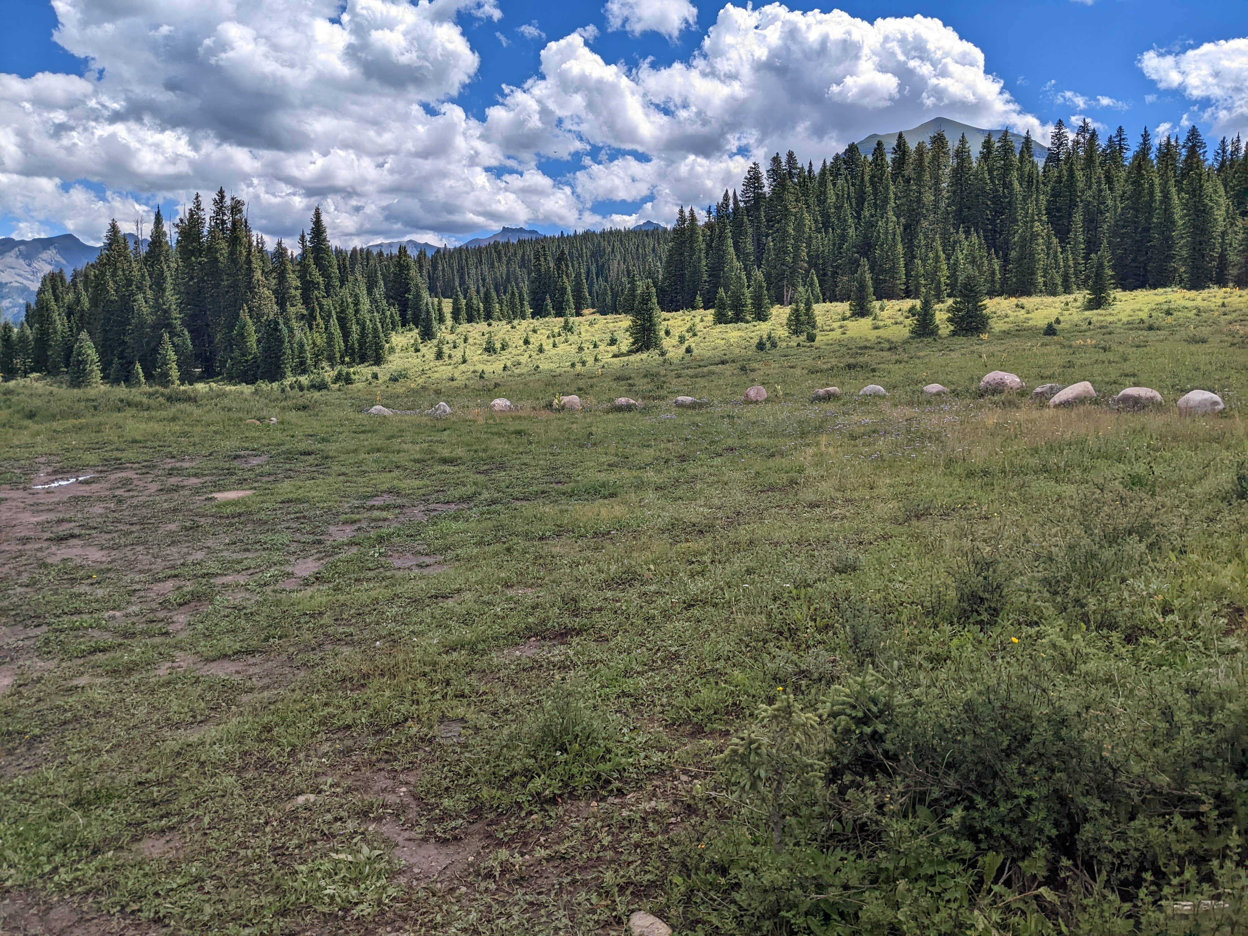 Camper-submitted photo at Cross Mtn - East Fork Dispersed Camping near Rico, CO