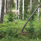 Review photo of Beartrap Meadow County Park by Michelle  E., July 27, 2016