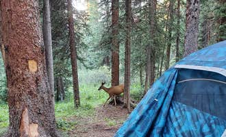 Camping near Difficult Campground: Lost Man Campground, Aspen, Colorado