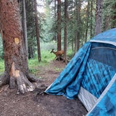 Review photo of Lost Man Campground by kyle , August 14, 2022
