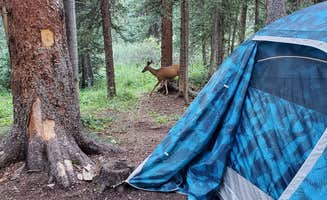 kyle's photo at Lost Man Campground near Aspen, CO