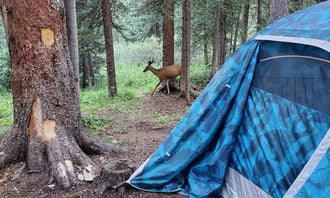 Camping near Upper Grottos Campground: Lost Man Campground, Aspen, Colorado