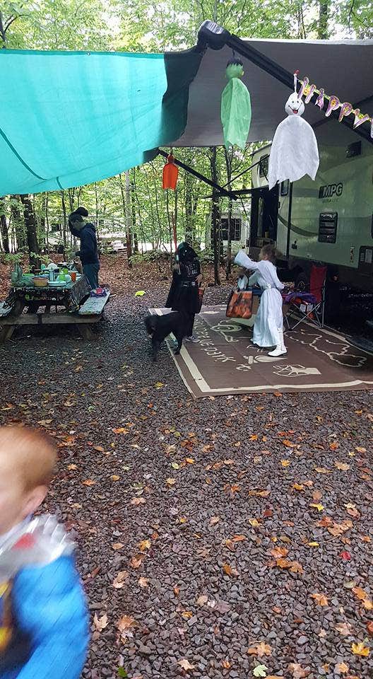 Camper submitted image from Pioneer Campground - 2