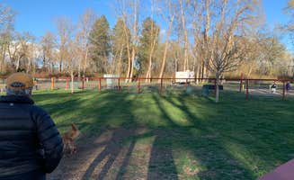 Jennifer H.'s photo of camping with pets at Ellensburg KOA near Naches, WA