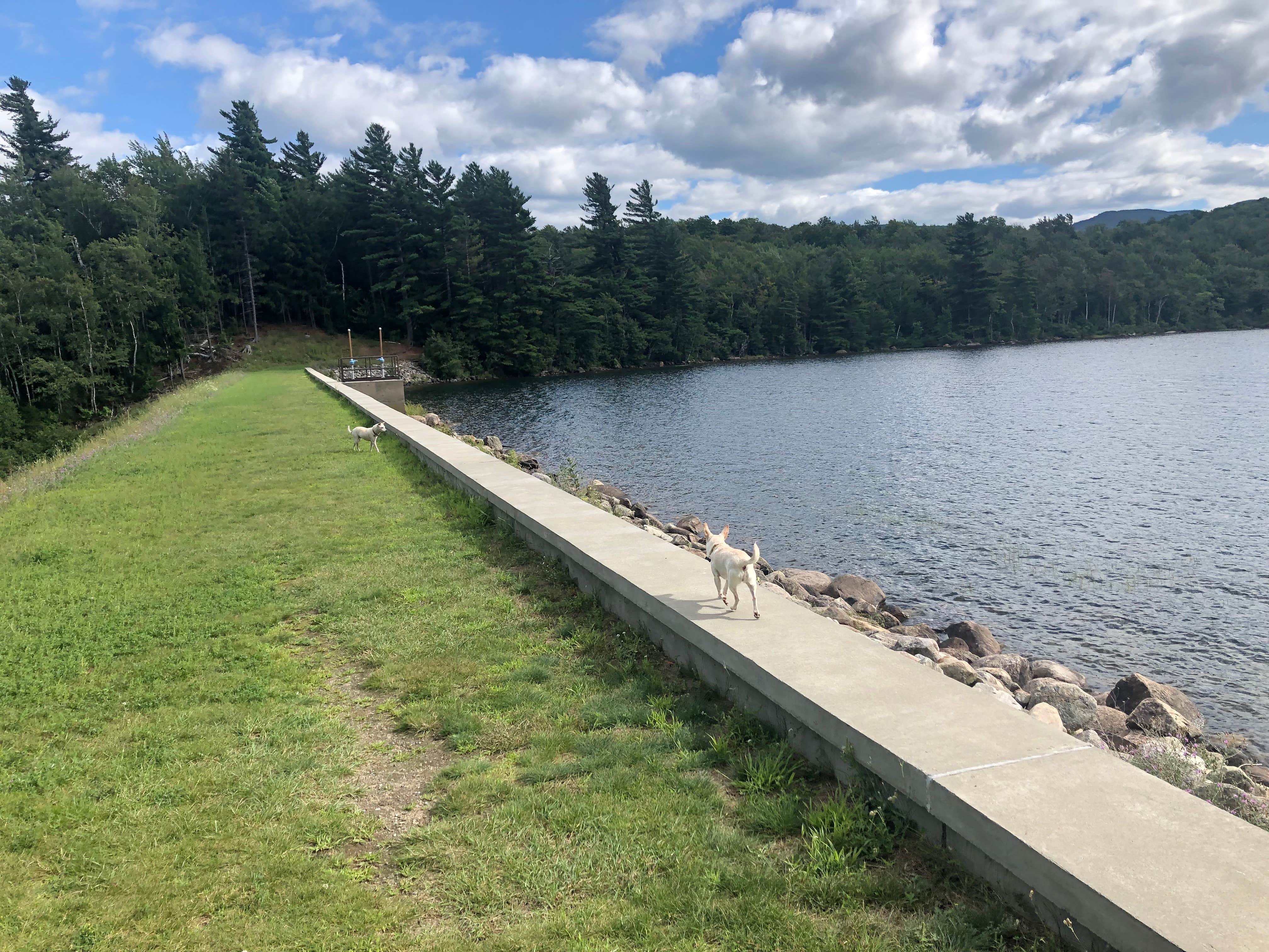 Camper-submitted photo at Taylor Pond near Lyon Mountain, NY