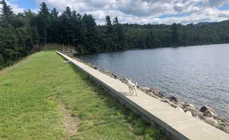 Steph's photo of camping with pets at Taylor Pond near Lake Placid, NY