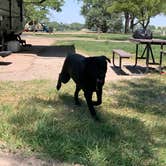 Review photo of Lake Ogallala - Lake McConaughy State Rec Area by Regina R., August 14, 2022