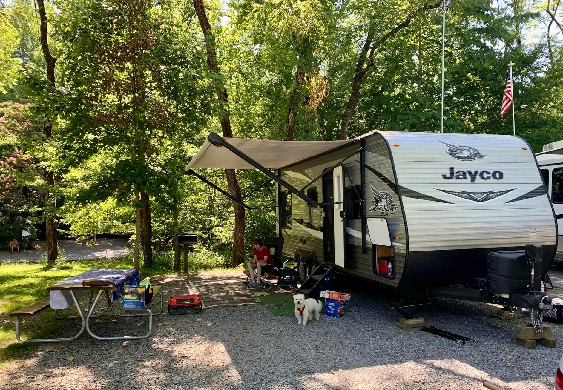 Laure D.'s photo of camping with pets at Greenbrier Campground near Sevierville, TN
