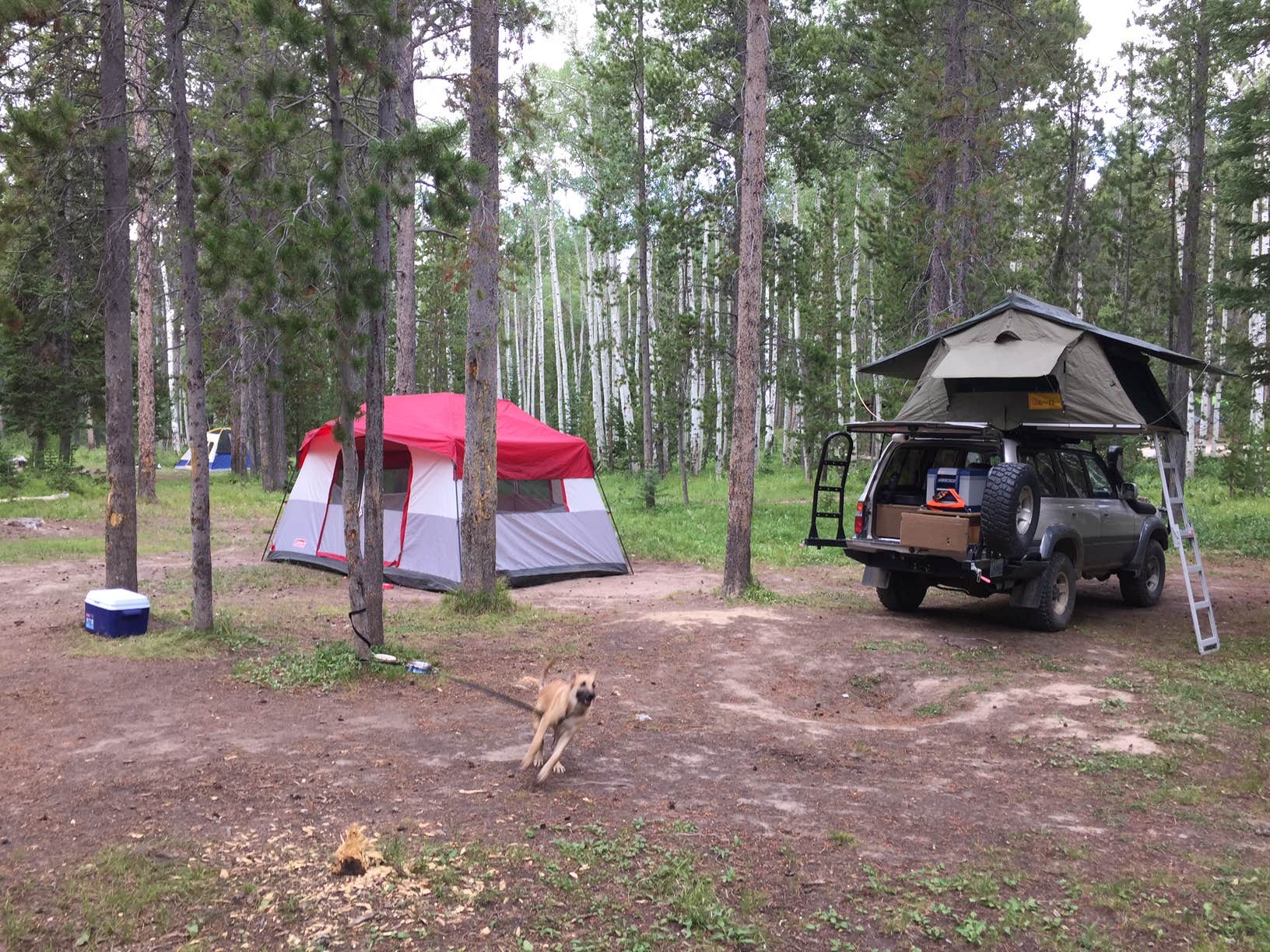 Camper-submitted photo at Beartrap Meadow County Park near Mills, WY