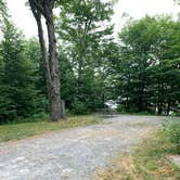 Review photo of Pickerel Point Campground — Promised Land State Park by Laure D., August 14, 2022