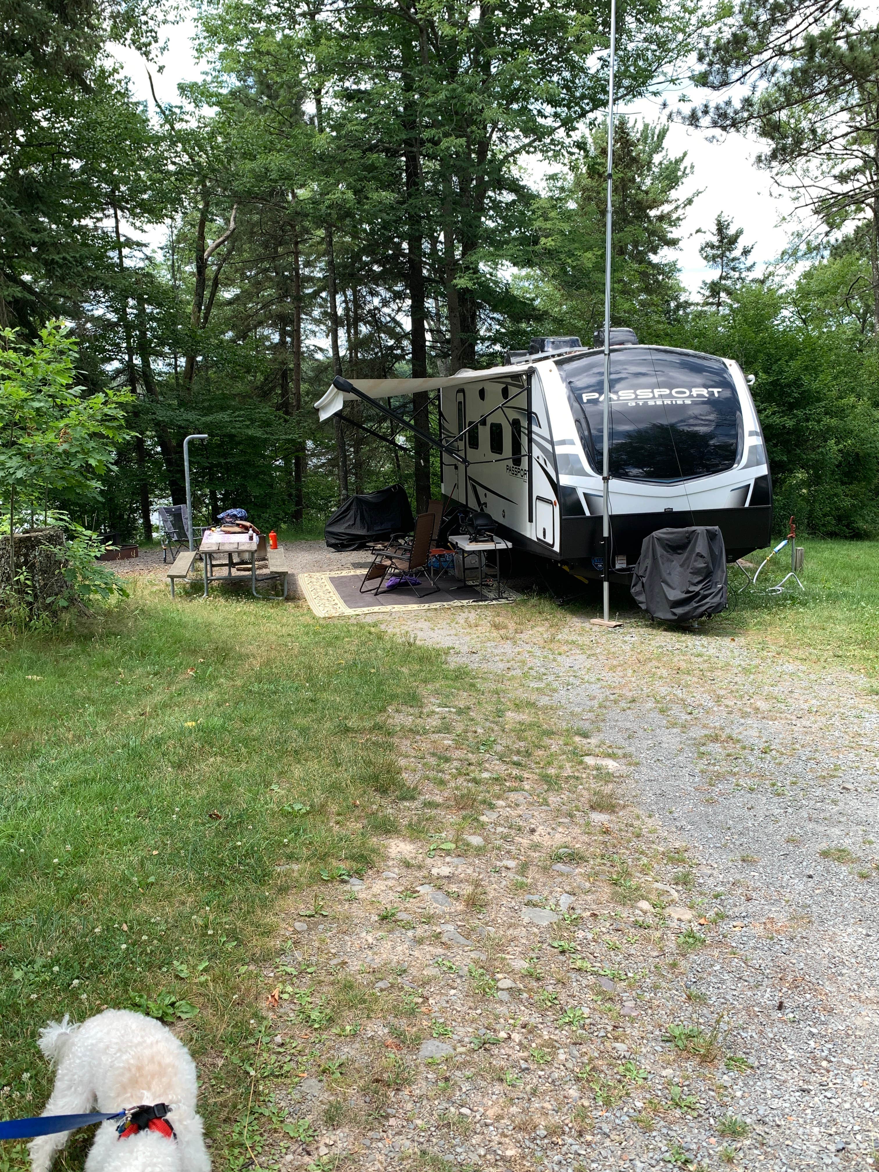 Laure D.'s photo at Pickerel Point Campground — Promised Land State Park near Gouldsboro, PA