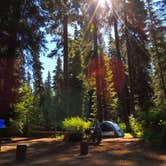 Review photo of Trapper Creek Campground by Tj B., July 23, 2018