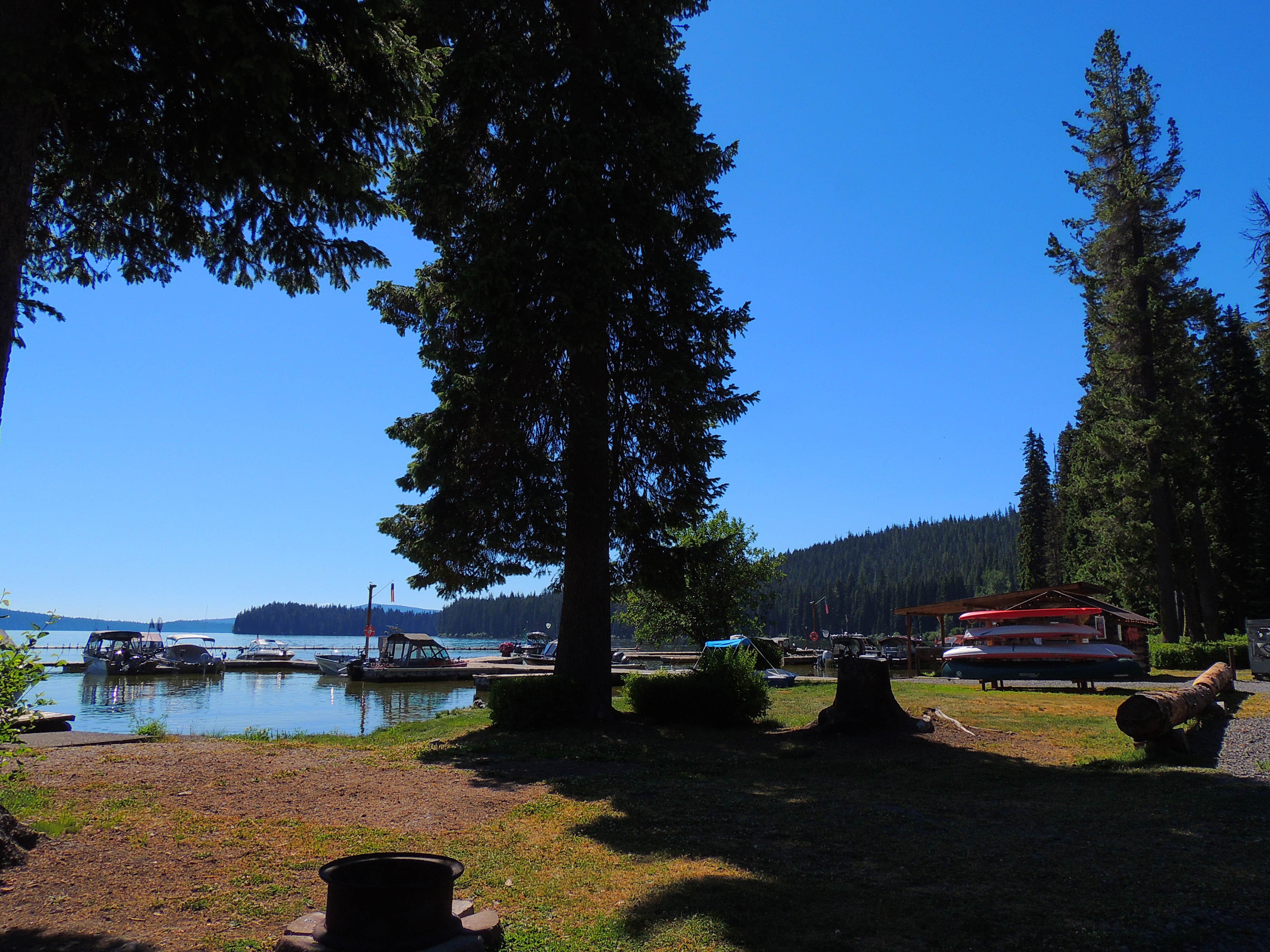 Camper submitted image from Trapper Creek Campground - 5