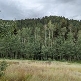 Review photo of Spruces - Big Cottonwood by Adam D., August 15, 2022