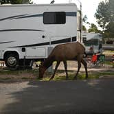 Review photo of Trailer Village RV Park — Grand Canyon National Park by Argyl D., August 12, 2022