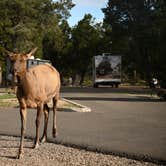 Review photo of Trailer Village RV Park — Grand Canyon National Park by Argyl D., August 12, 2022