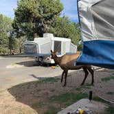 Review photo of Trailer Village RV Park — Grand Canyon National Park by Argyl D., August 12, 2022