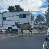 Review photo of Trailer Village RV Park — Grand Canyon National Park by Argyl D., August 12, 2022