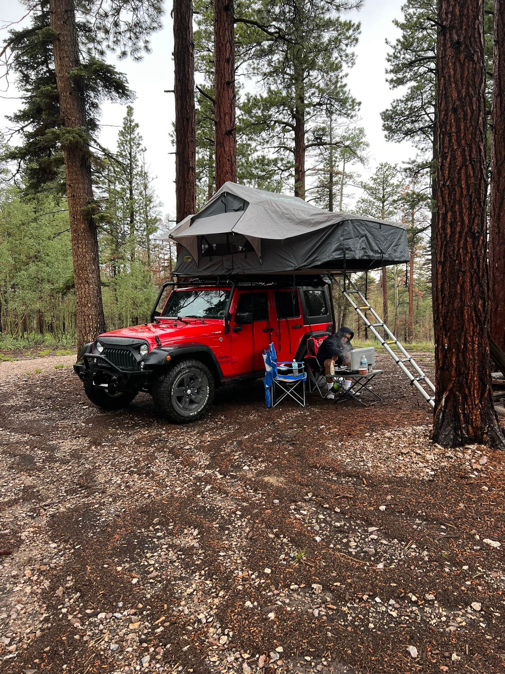 Camper submitted image from Grand Canyon North Dispersed camping - 4