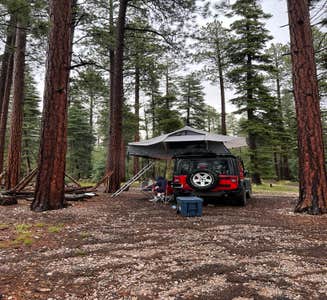 Camper-submitted photo from Grand Canyon North Dispersed camping