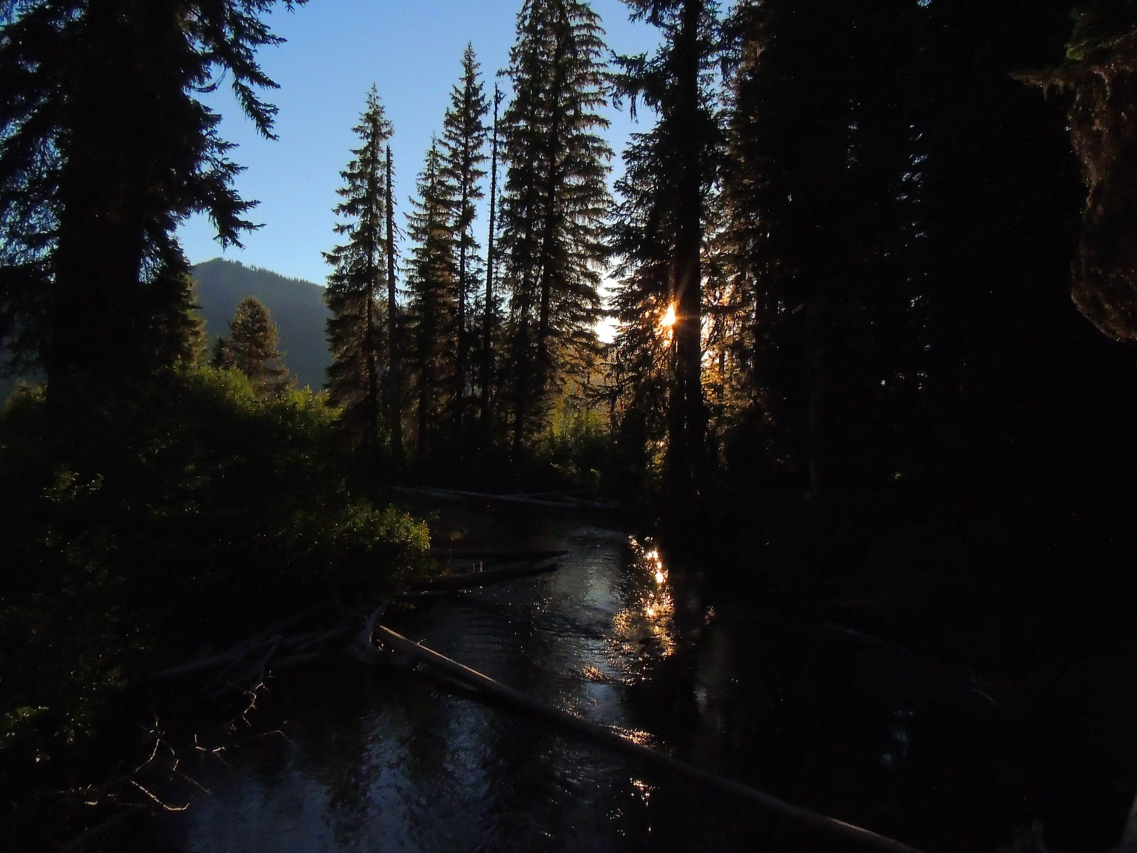 Review of Trapper Creek Campground The Dyrt