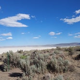 Review photo of Alvord Desert by Michael T., August 15, 2022