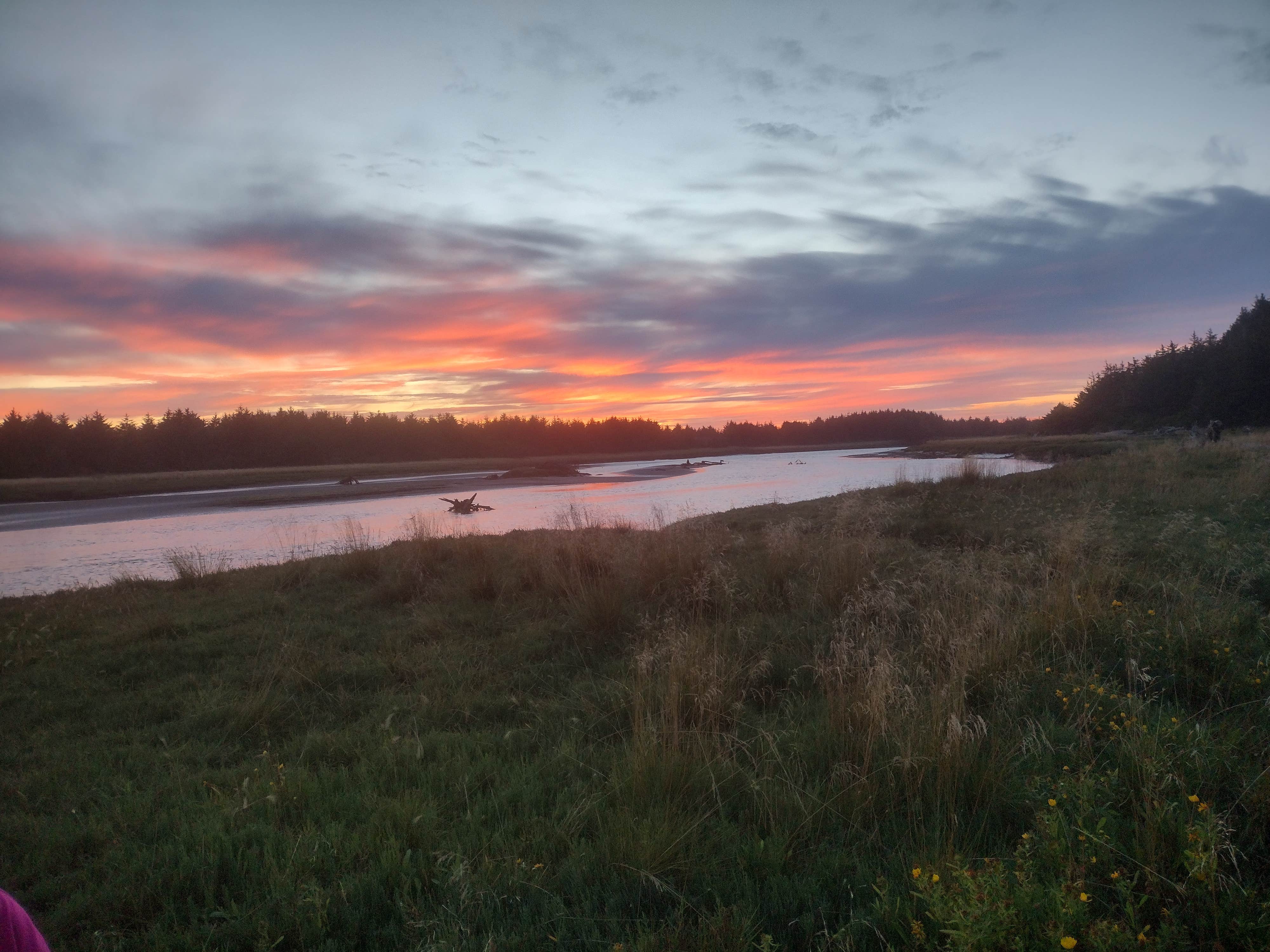 Camper-submitted photo at The Driftwood RV Resort and Campground near Ocean Shores, WA