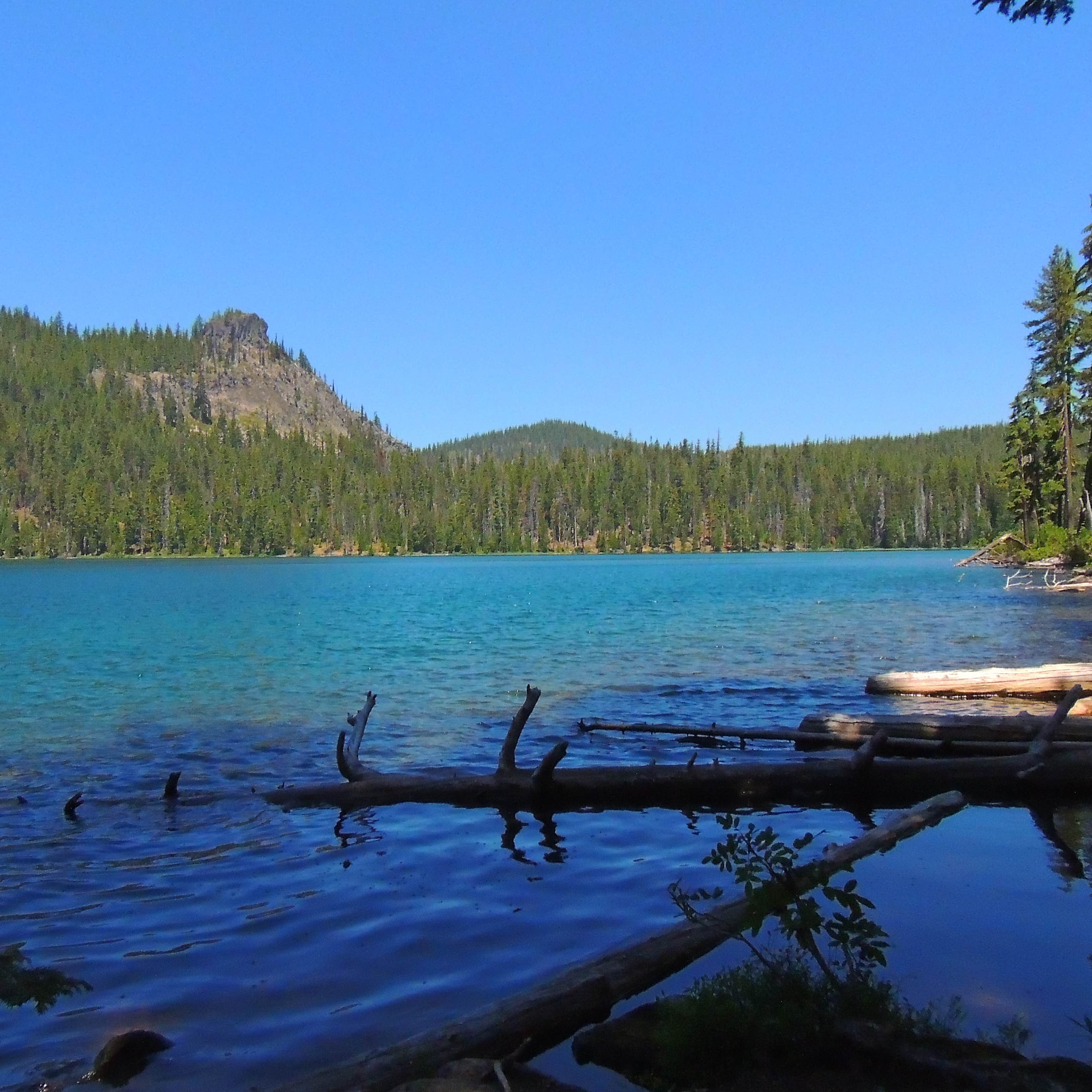 Review of Trapper Creek Campground | The Dyrt