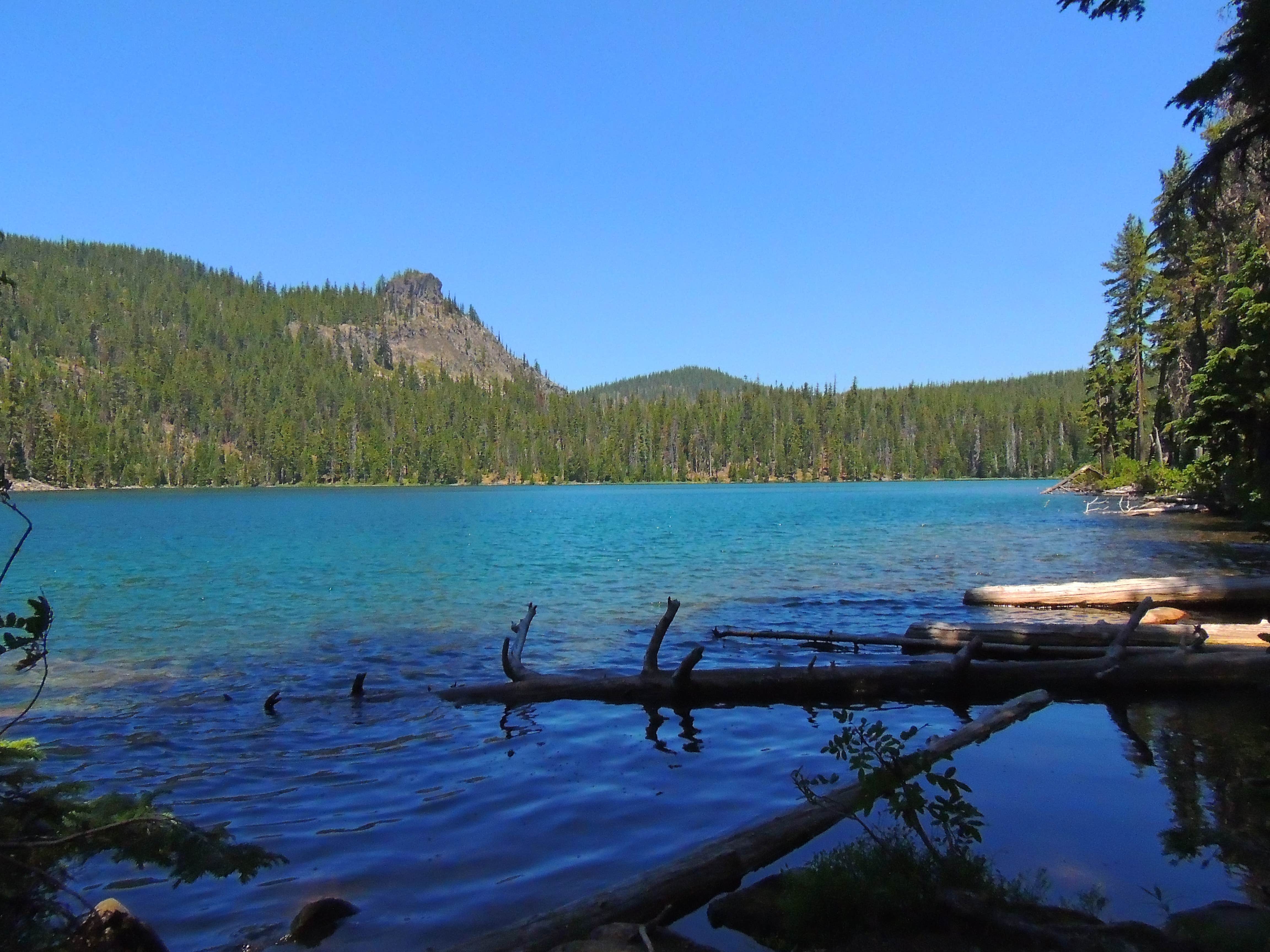 Camper submitted image from Trapper Creek Campground - 4