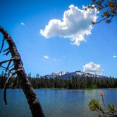 Review photo of Trapper Creek Campground by Tj B., July 23, 2018