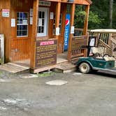 Review photo of Tygart Lake State Park Campground by adelia , August 15, 2022