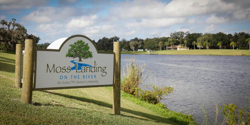 Camper submitted image from Moss Landing