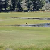 Review photo of Sugarloaf Campground — Lake Cascade State Park by Mike E., August 15, 2022