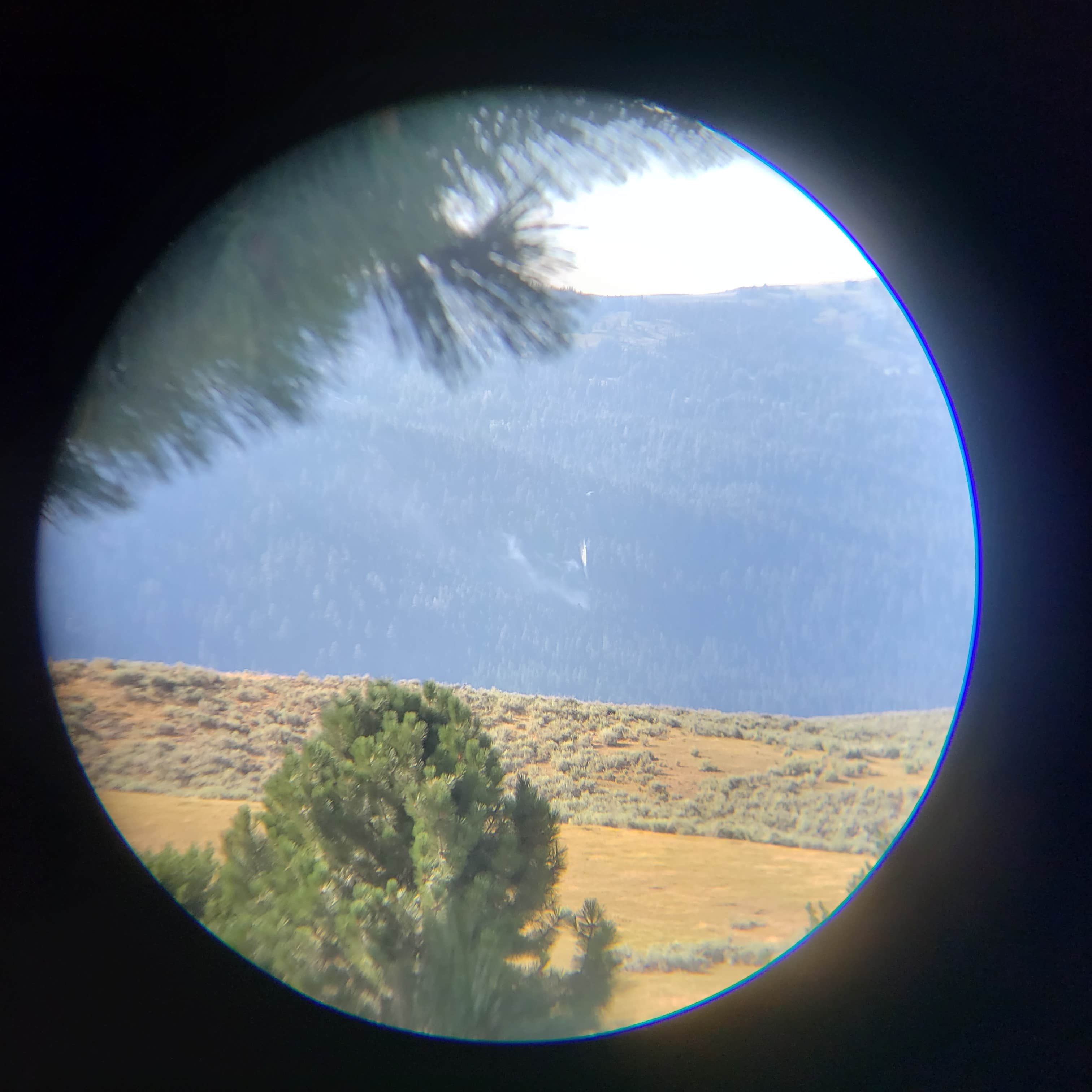 Camper-submitted photo at Sugarloaf Campground — Lake Cascade State Park near McCall, ID