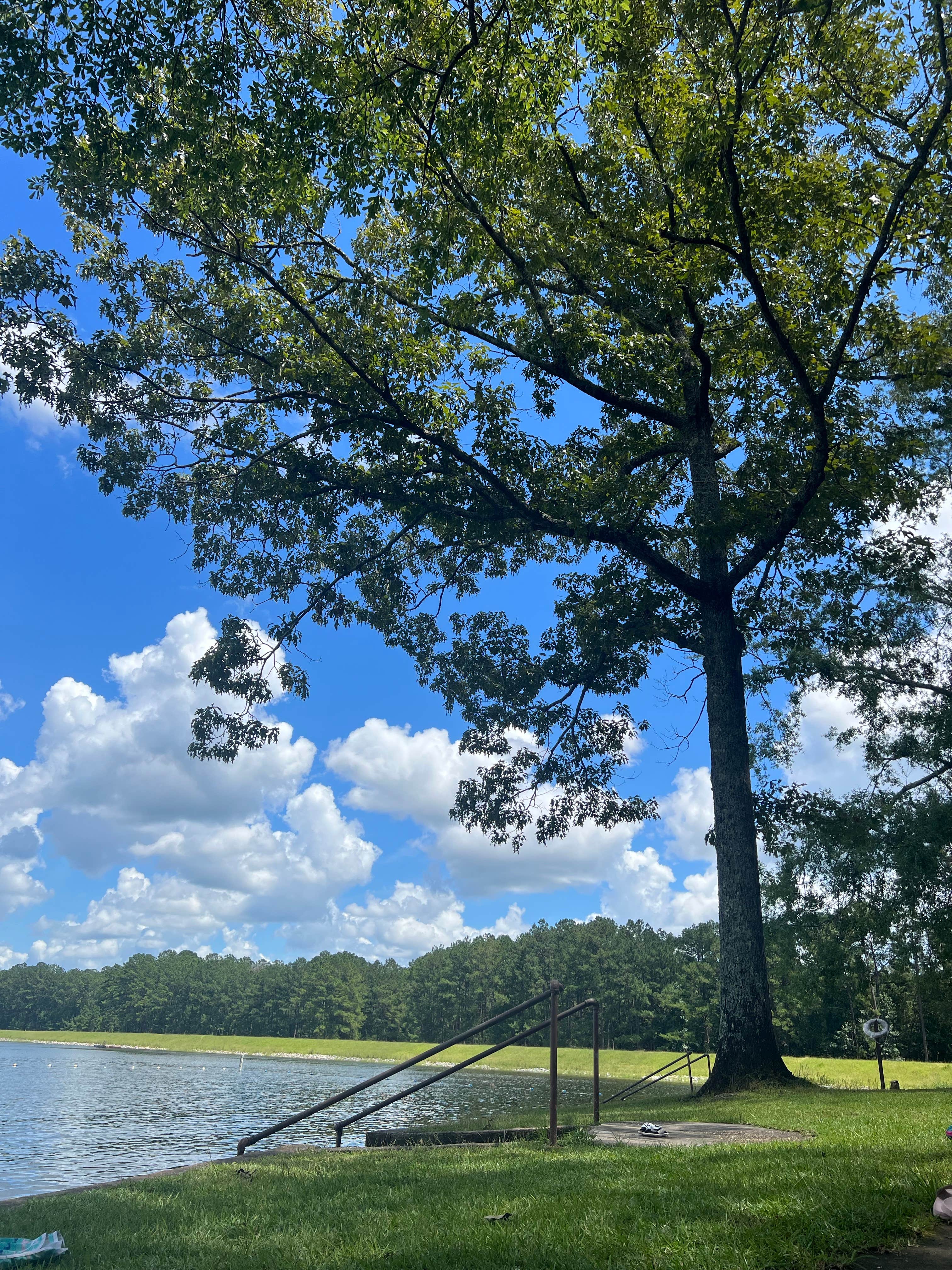 Camper-submitted photo at Turkey Fork Rec Area near Beaumont, MS