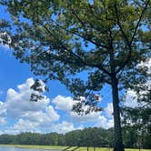 Review photo of Turkey Fork Rec Area by Ashley F., August 15, 2022