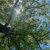 Review photo of Turkey Fork Rec Area by Ashley F., August 15, 2022