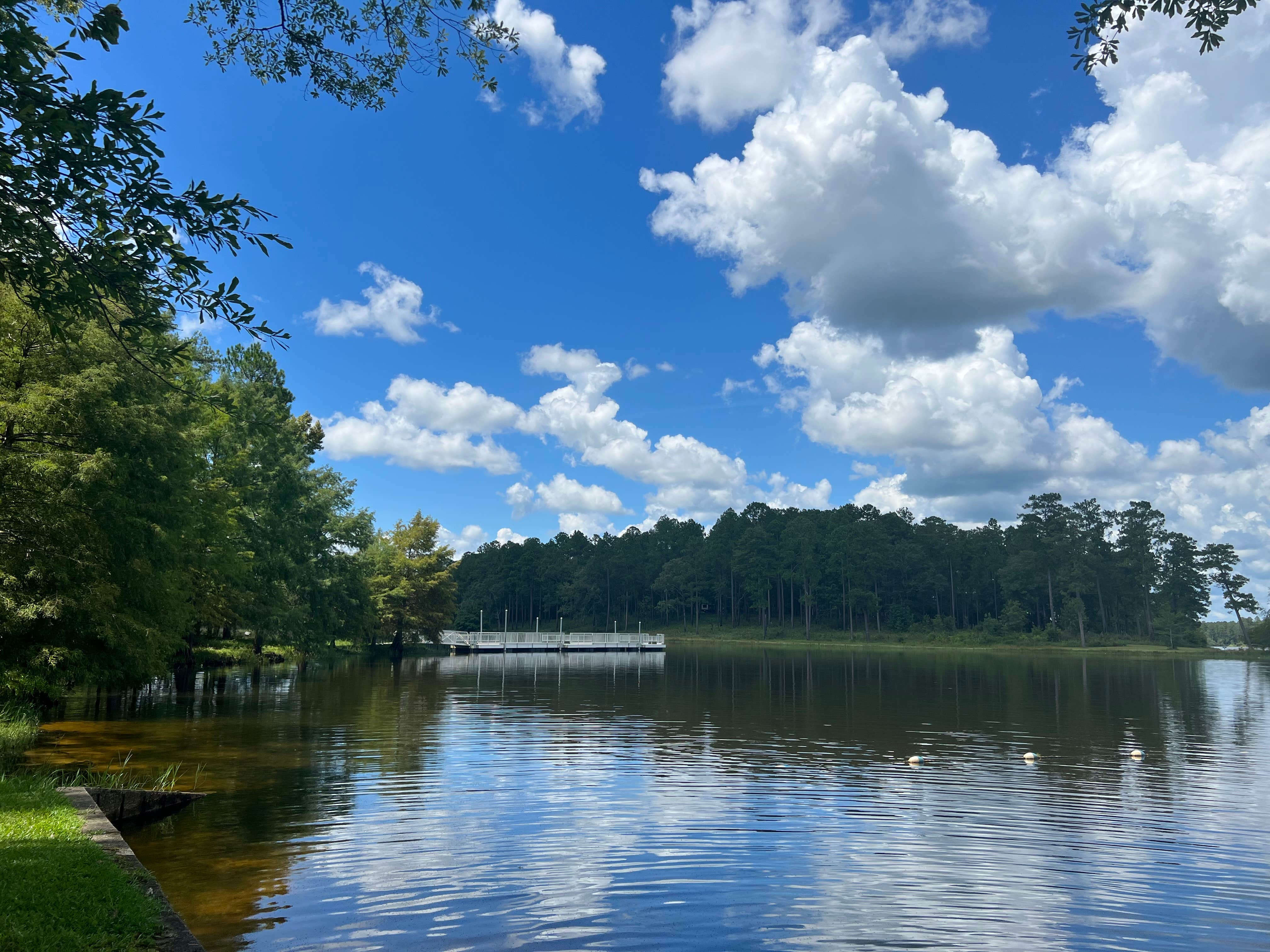 Camper-submitted photo at Turkey Fork Rec Area near Beaumont, MS