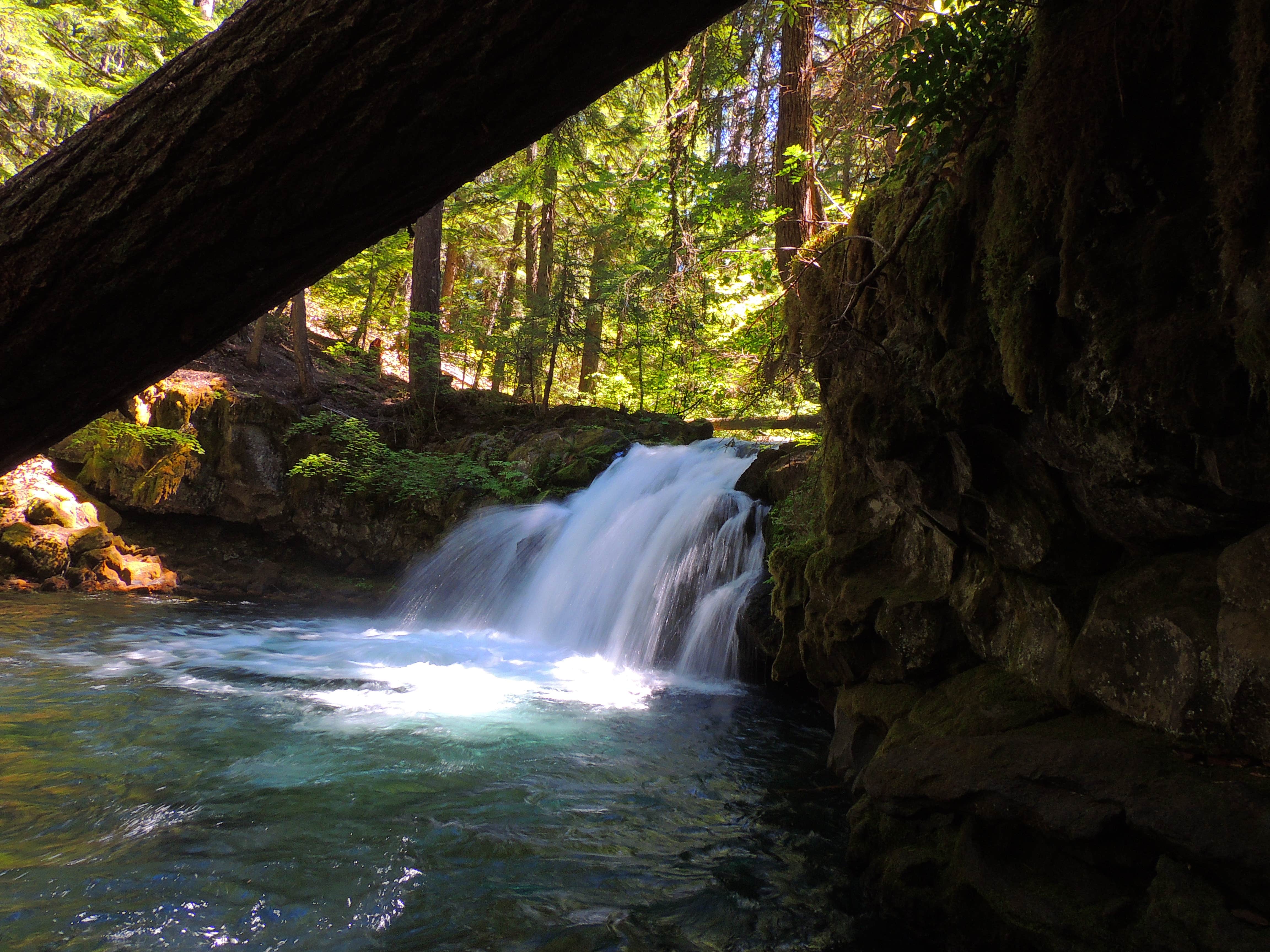 Whitehorse Falls Campground The Dyrt