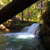 Review photo of Whitehorse Falls Campground by Tj B., July 23, 2018