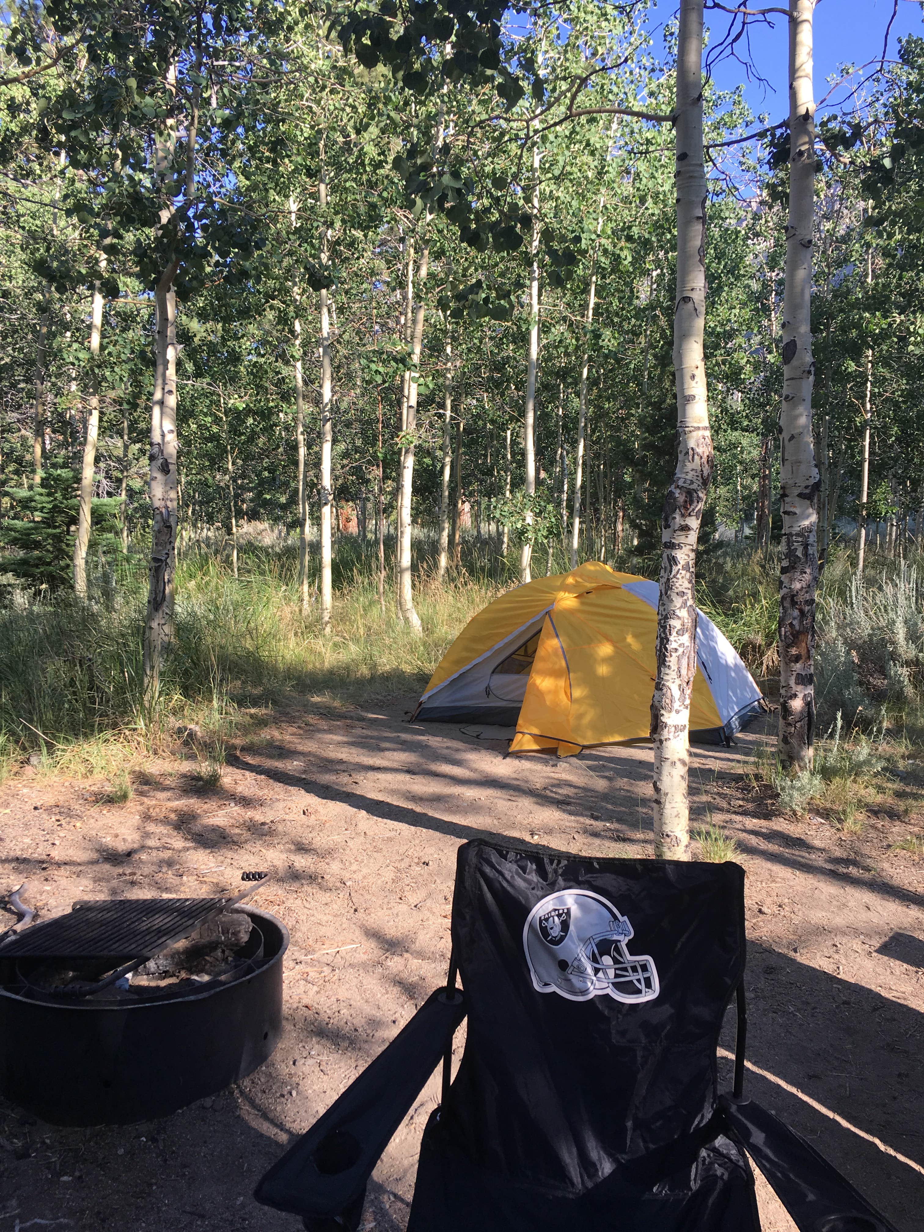 Camper submitted image from Aspen Campground - 3