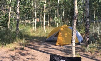 Mary R.'s photo at Aspen Campground near Lee Vining, CA