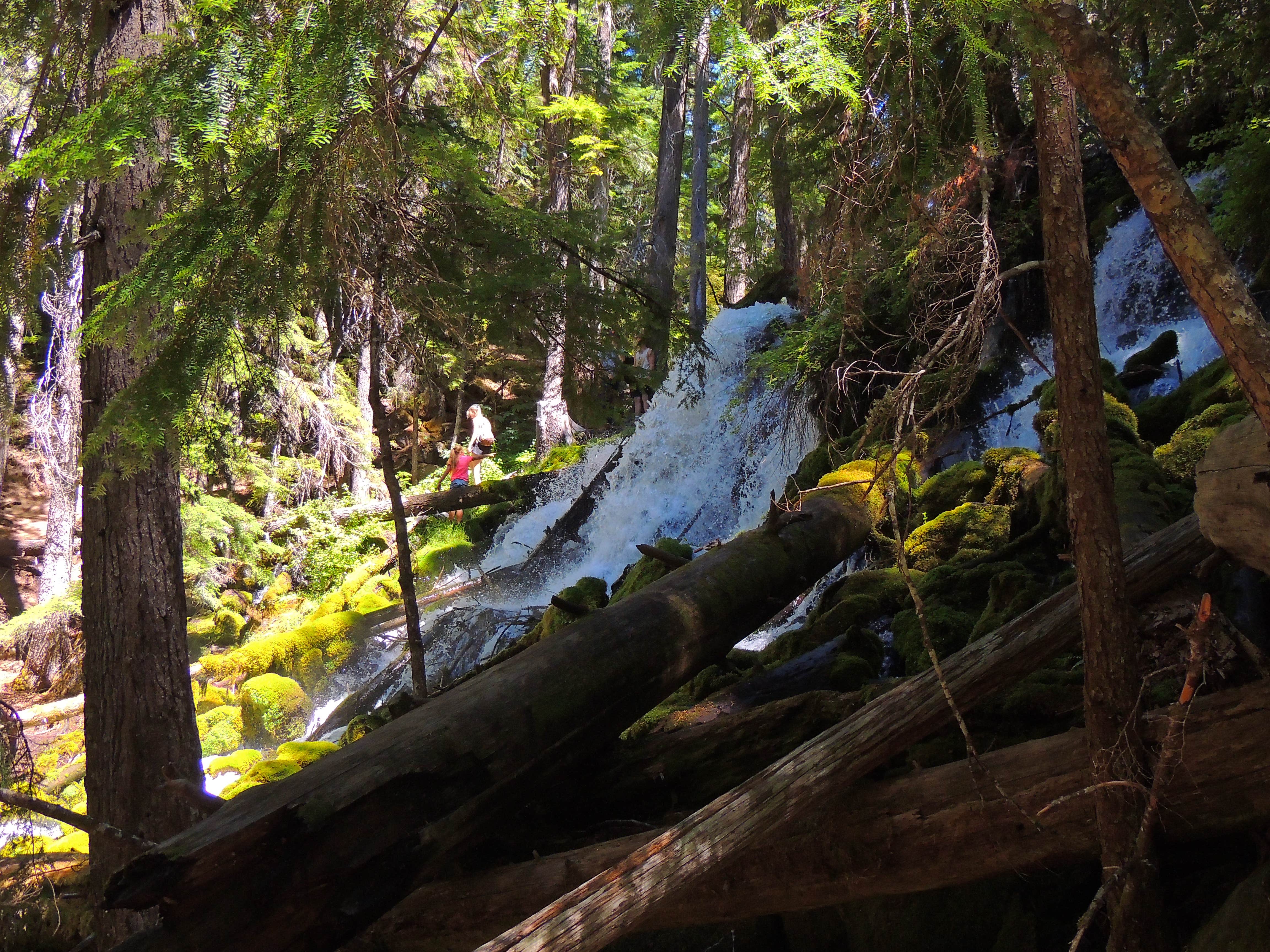 Camper submitted image from Clearwater Falls Campground - 4