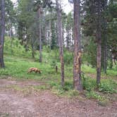 Review photo of Beartrap Meadow County Park by Michelle  E., July 27, 2016
