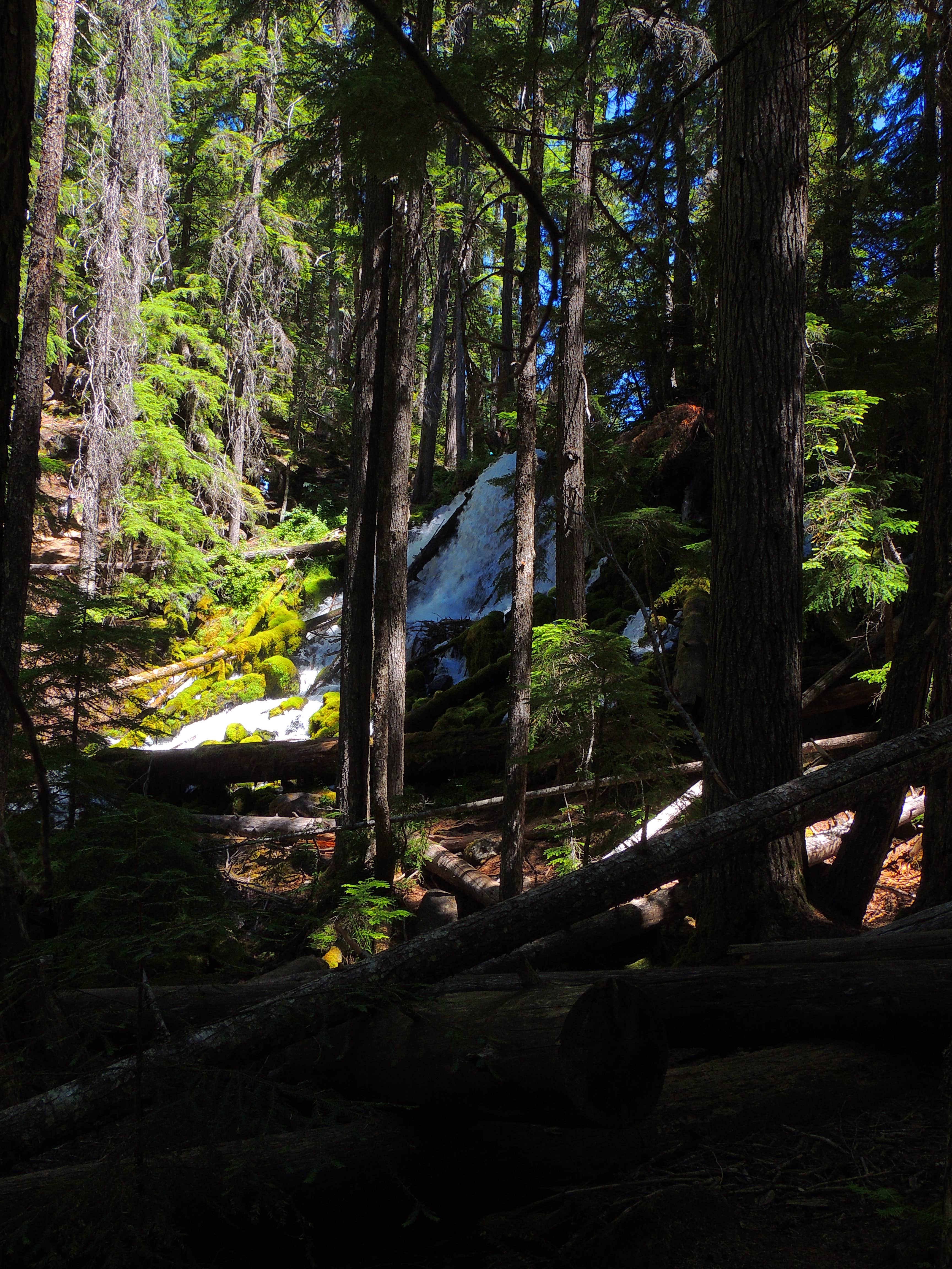 Camper submitted image from Clearwater Falls Campground - 2