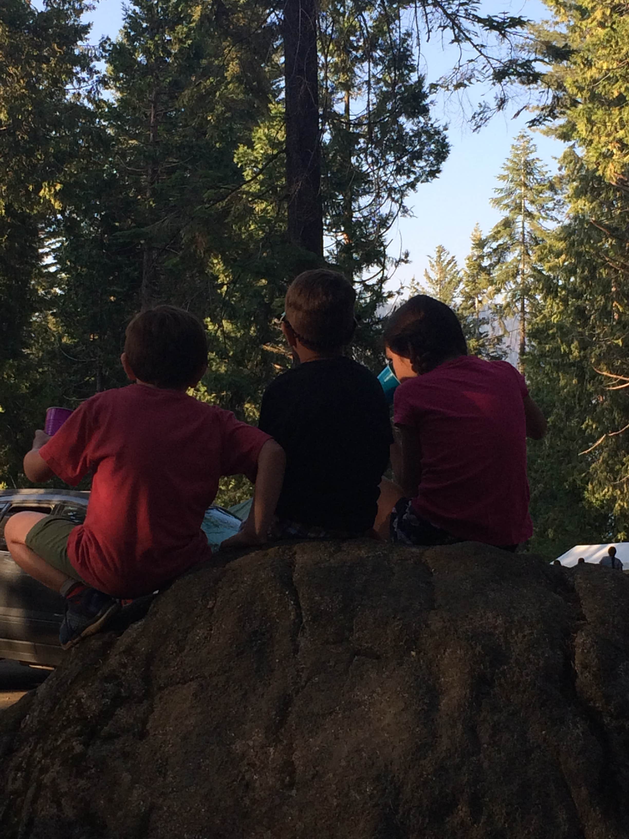 Camper submitted image from Camp Edison - 3