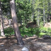 Review photo of Coldwater Campground by Erin M., July 23, 2018